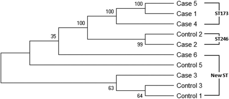 Figure 4.