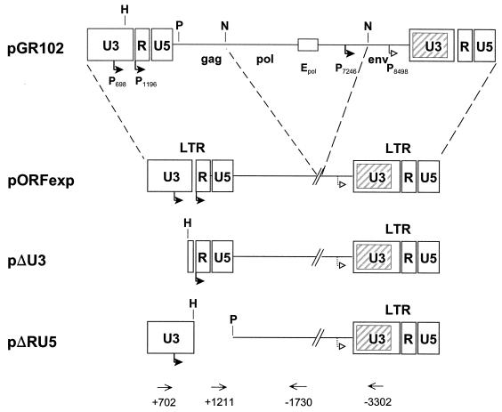 FIG. 1