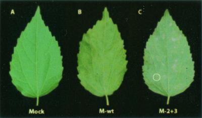 FIG. 4.