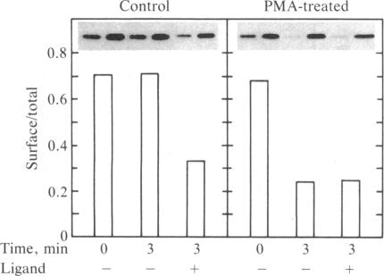 graphic file with name pnas00611-0071-a.jpg