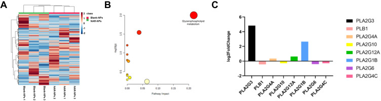 Figure 7