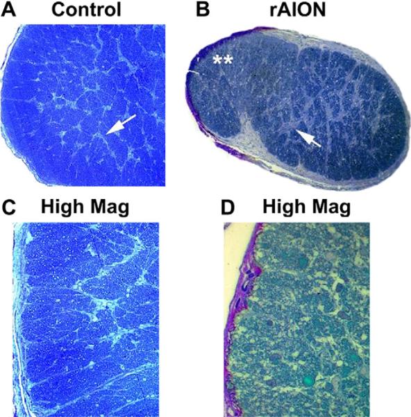 Fig. 10