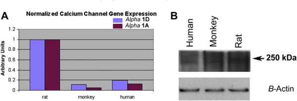 Fig. 13