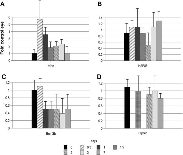 Fig. 12