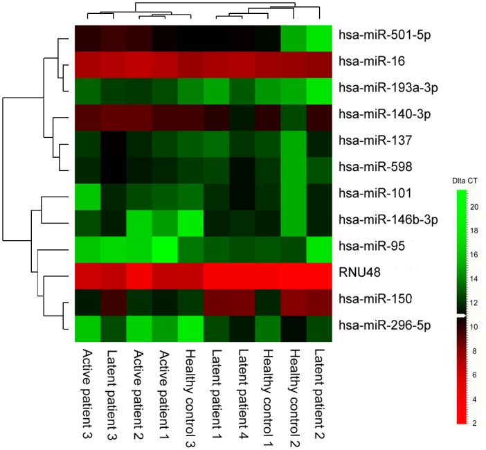 Differential Microrna Expression In Human Macrophages With Mycobacterium Tuberculosis Infection