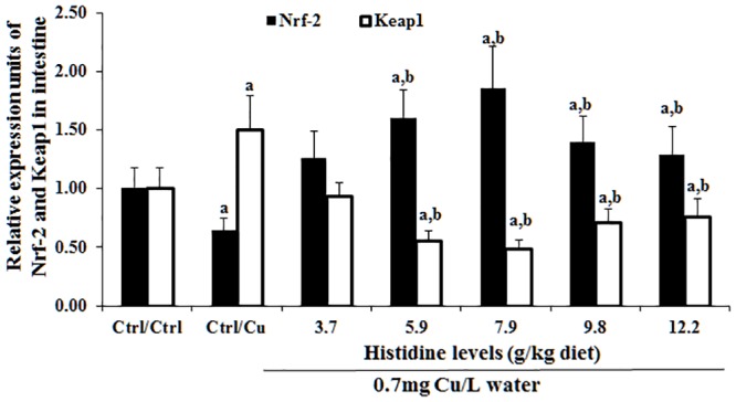 Fig 10