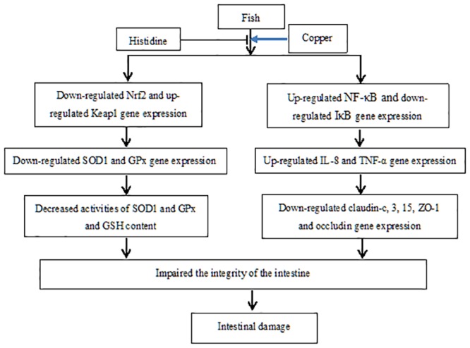 Fig 11