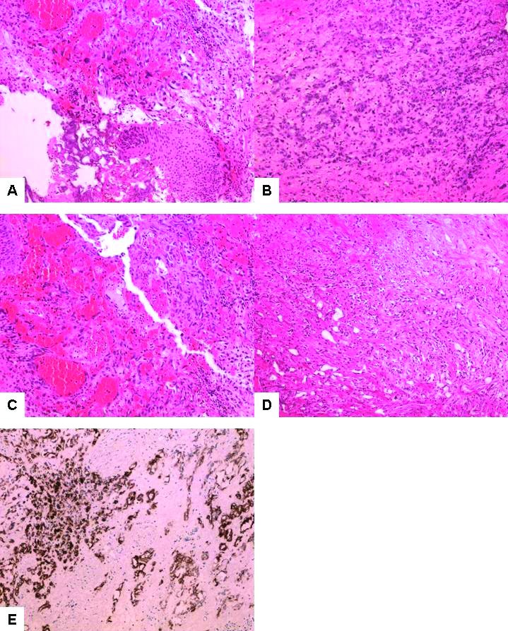 Fig.1.