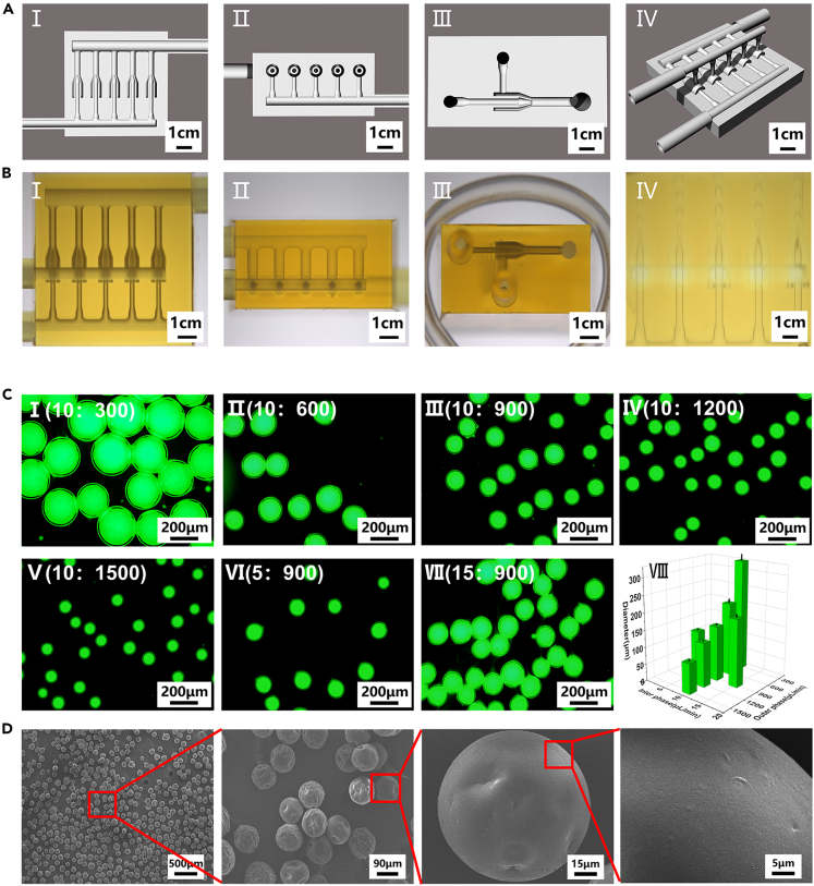 Figure 3