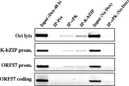 FIG. 5.