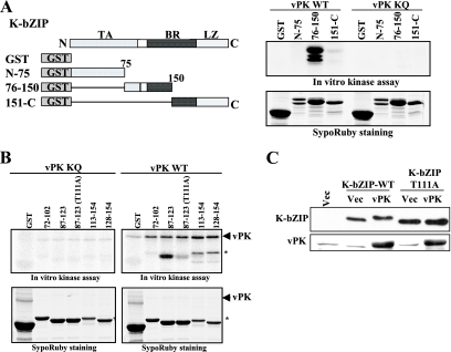 FIG. 6.