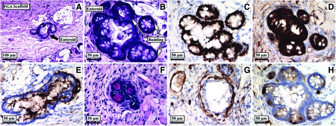 FIG. 8.