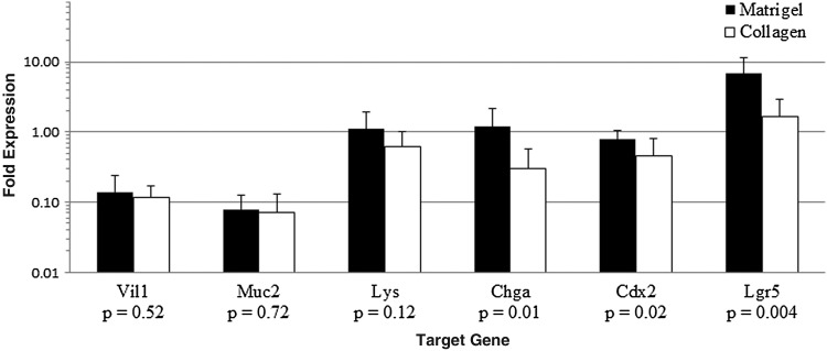 FIG. 6.