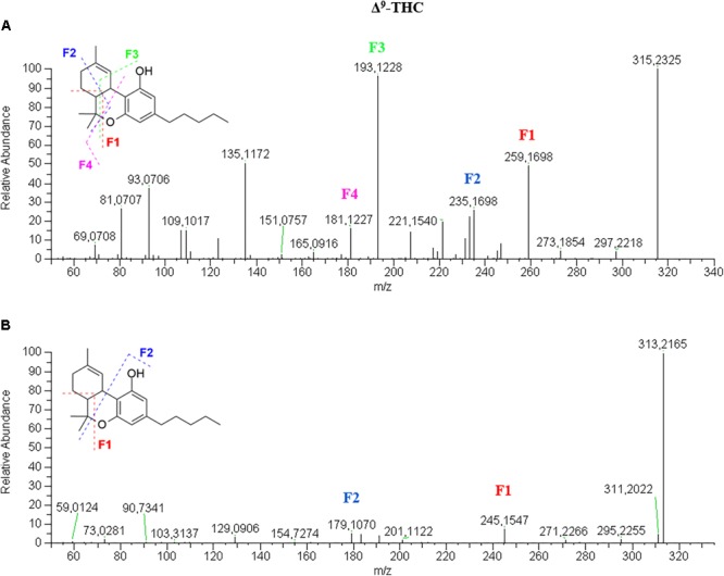 FIGURE 3