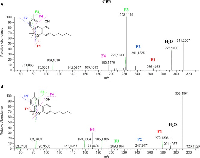 FIGURE 4