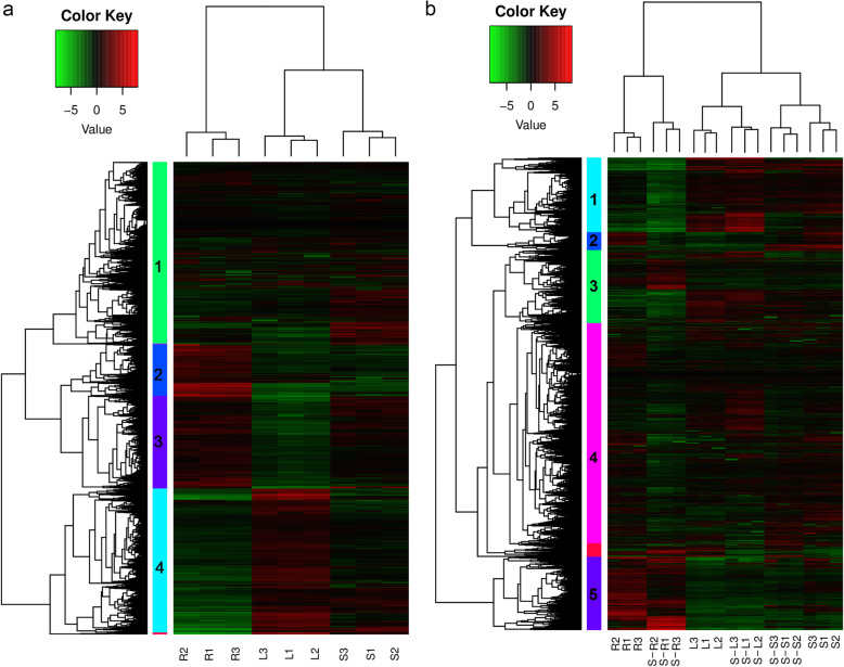 Fig. 2