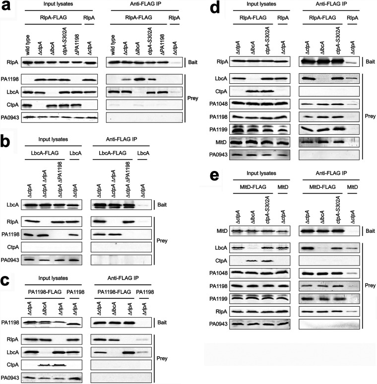 FIG 6