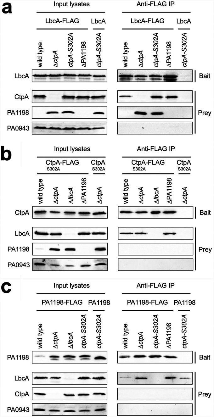 FIG 2