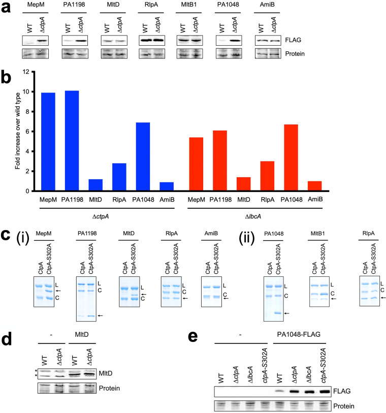 FIG 3