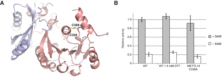 Figure 1—figure supplement 2.