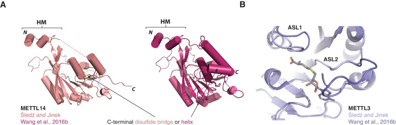 Figure 2—figure supplement 2.