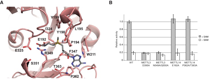 Figure 5.