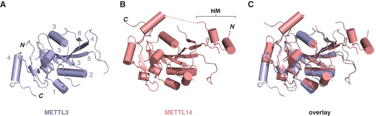 Figure 2—figure supplement 1.