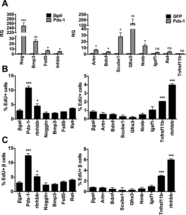 FIG 6