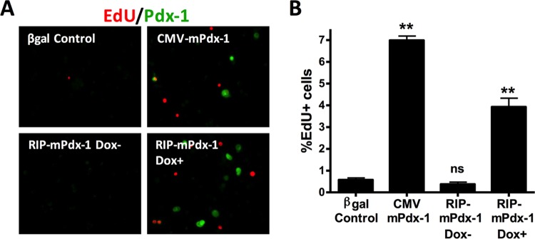 FIG 3