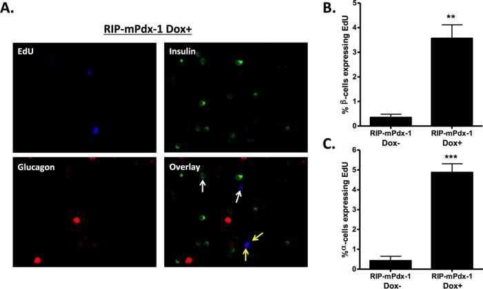 FIG 4