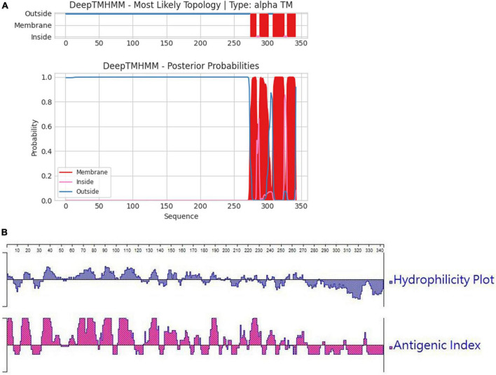 FIGURE 1