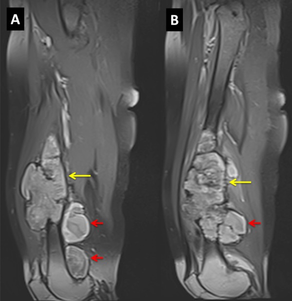 Figure 3