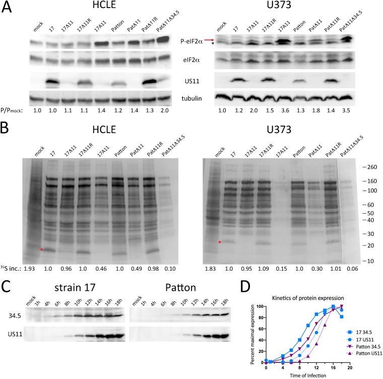 FIG 2