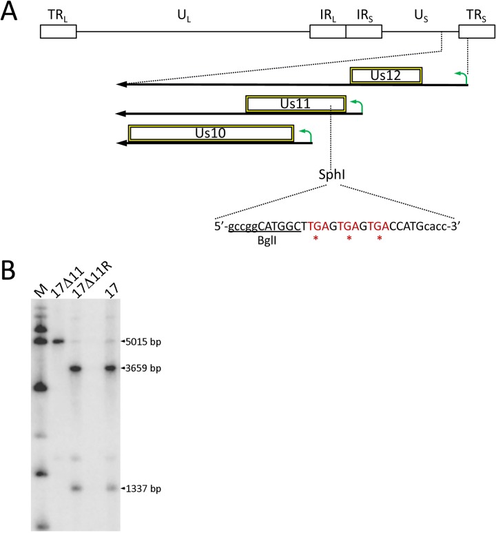 FIG 1