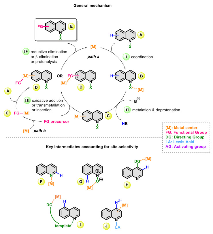 Scheme 3
