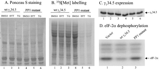 FIG. 5.