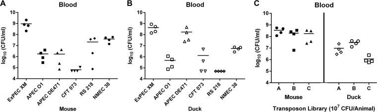 FIG 1