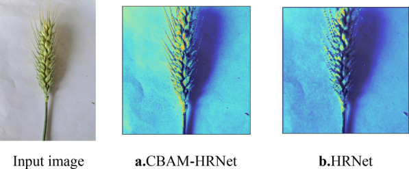 Fig. 10