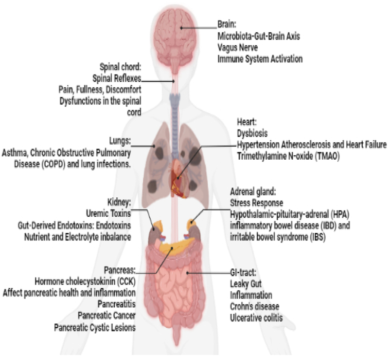 Figure 4.