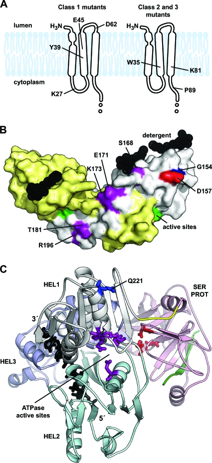 FIG. 9.