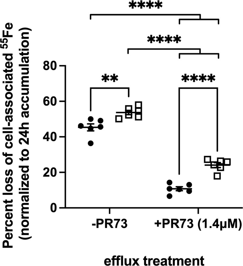 Fig 11