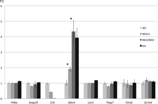 Figure 4