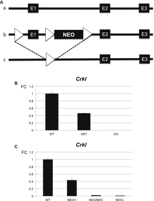 Figure 3