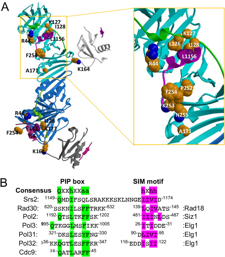 FIG 5