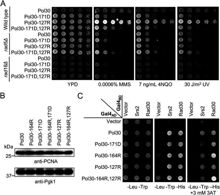 FIG 4