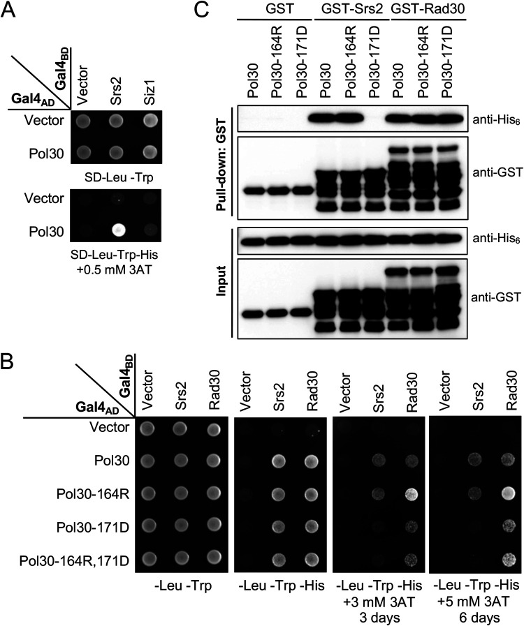 FIG 3