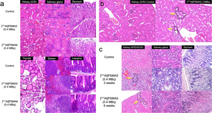 Fig. 6