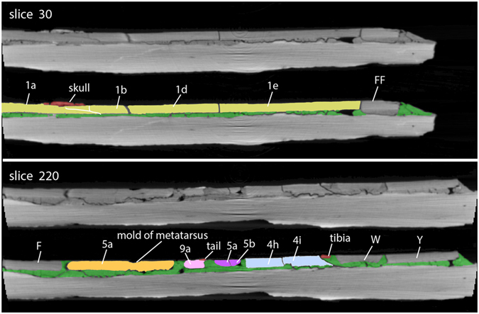 Figure 9