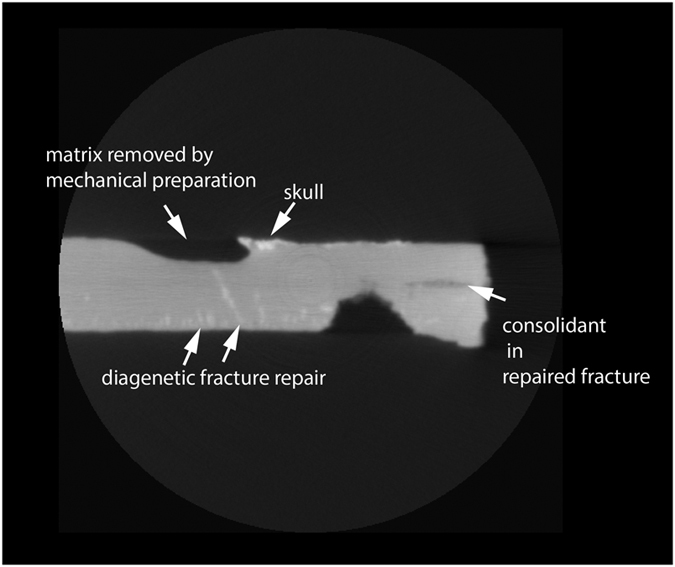 Figure 14