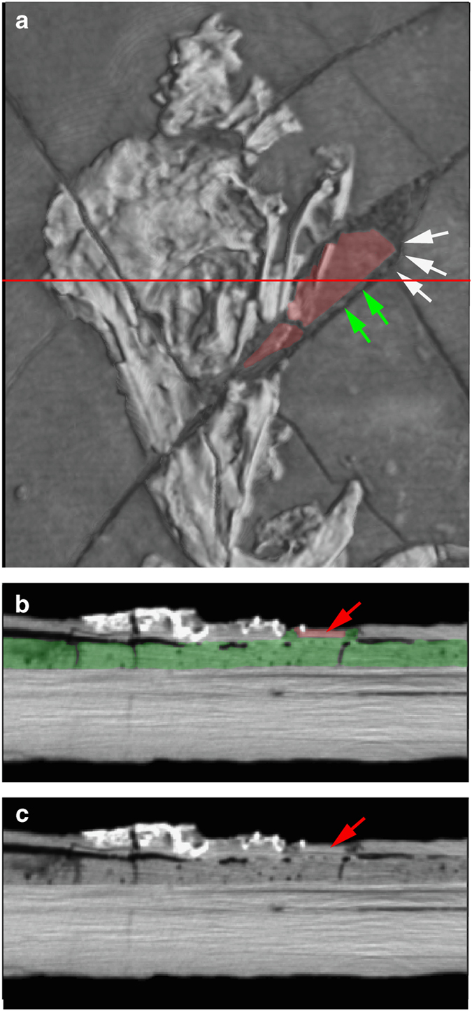 Figure 6